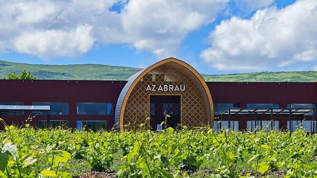 Wine History Museum and Wine degustation tour